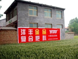 全椒如何让墙体广告展现最大化效果