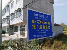 全椒墙体广告质量分析