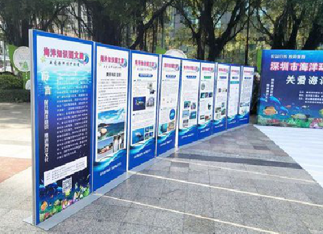 全椒KT板的种类和知识。